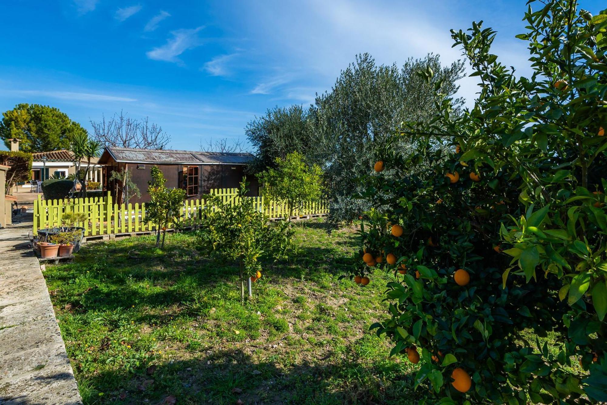 Finca Son Macia Selva  Esterno foto